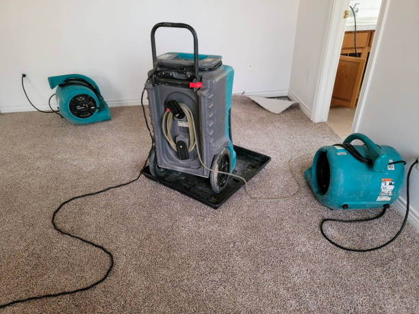 Best Fire Damage Restoration  in Way, NE