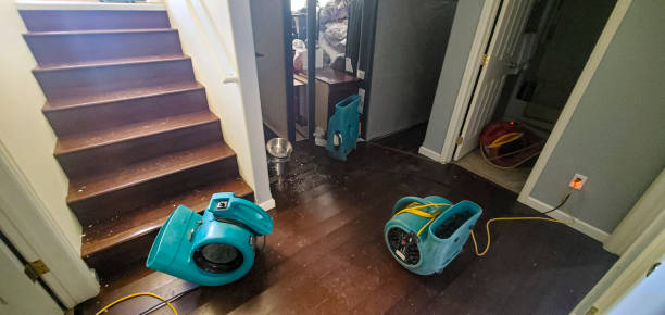 Best Water damage restoration near me  in Way, NE