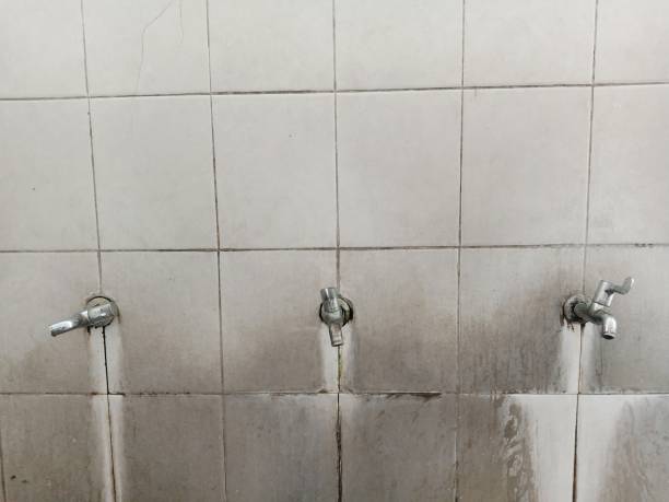 Best 24-hour water damage restoration  in Way, NE
