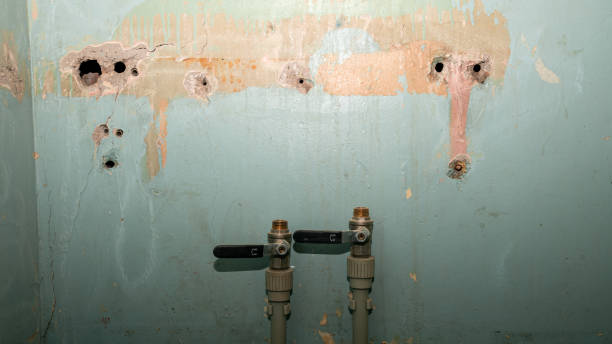 Best 24/7 water damage repair  in Way, NE