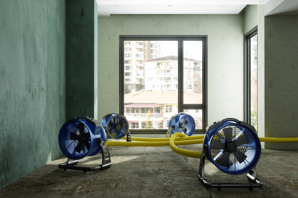 Best Residential water damage restoration  in Way, NE