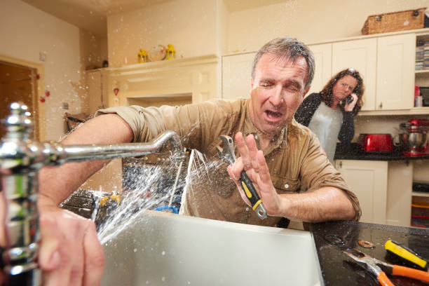 Best Carpet water damage restoration  in Way, NE